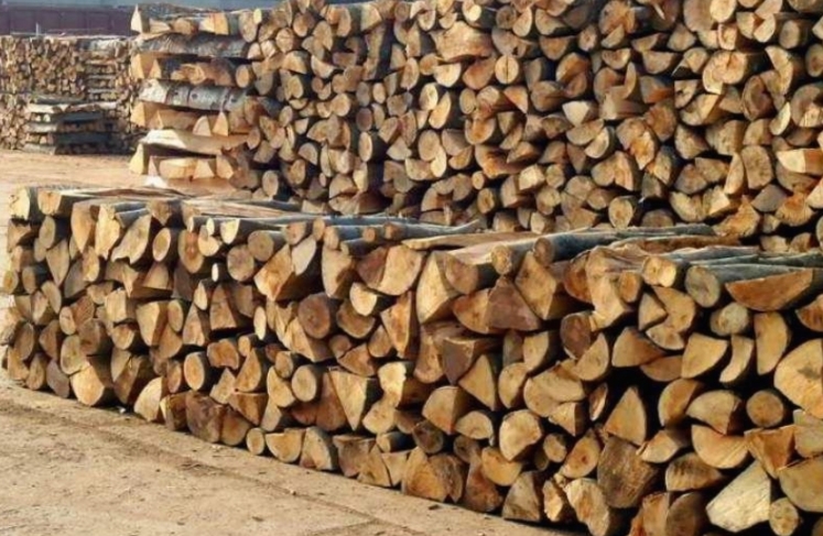 Кривична за референт од „Македонски Шуми“ во Свети Николе