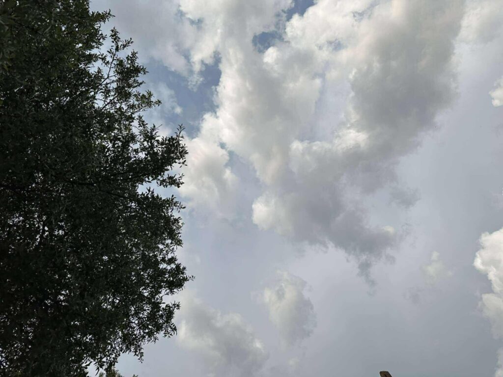 Променливо облачно со повремени врнежи од дожд, температурите до 16 степени