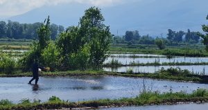 Експертска работилница за креирање зелени работни места