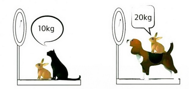 Можете ли? Само два проценти од луѓето успеале да ја решат оваа загатка