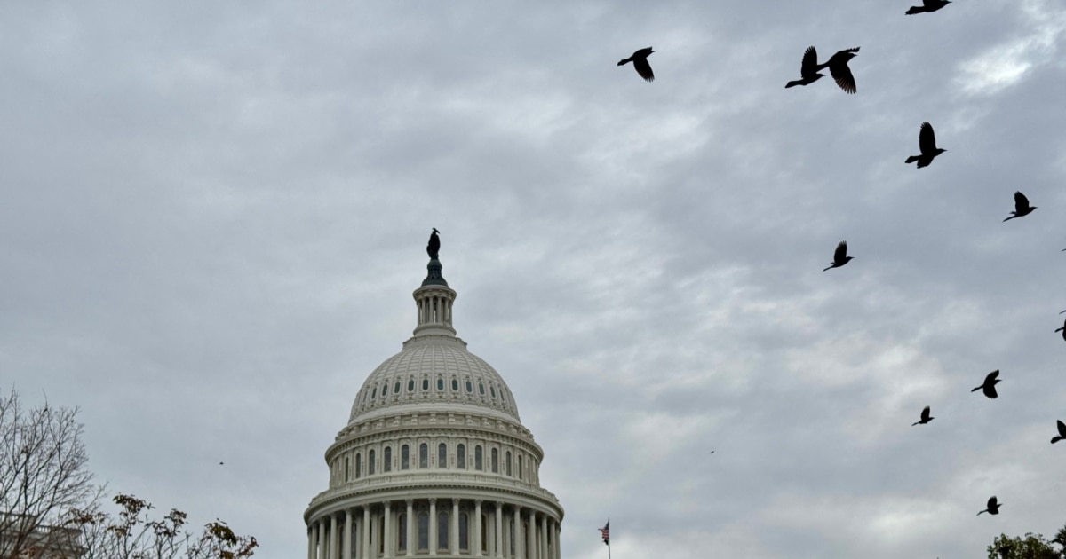 Американскиот Сенат го усвои законот за прекин на блокадата на владата