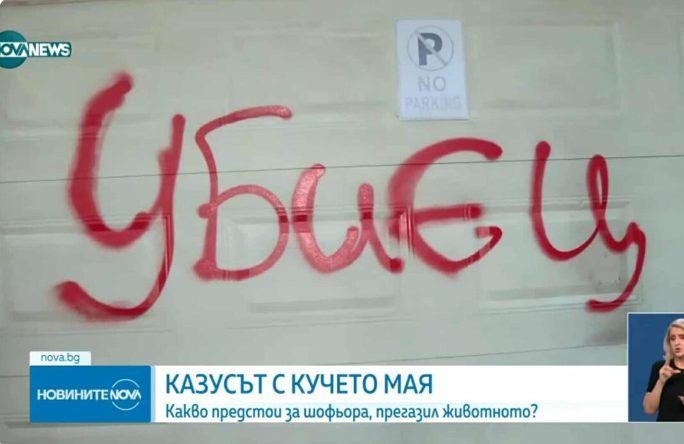 Суспендиран од работа докторот од Македонија кој презгази куче во Софија