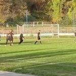 „Удри го, удри го судијата“: Хаос во БиХ – навивачи влегоа на теренот и тргнаа да ги тепаат судиите (Видео)