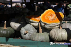 Искористете ја кралицата на есента-тиквата за вкусен хумус