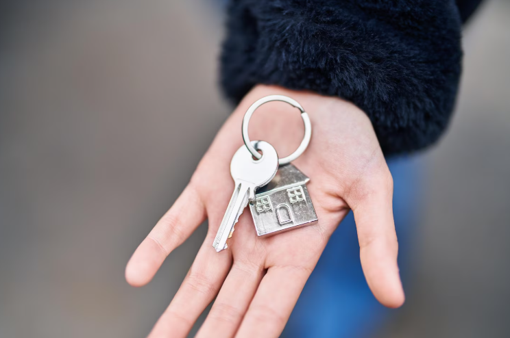 Кои се професиите кои нудат можности за брзо осамостојување?