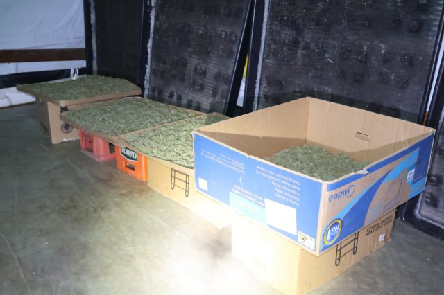 ФОТО| Криел цел арсенал оружје и дрога во поранешен угостителски објект во Мешеишта