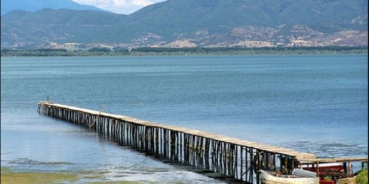 Пиеле заедно, па половина час го удирал со раце и со метална шипка – убиство во Сретеново