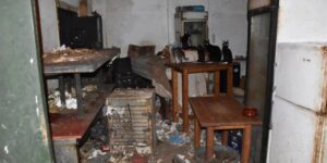 Грк казнет 1,7 милиони евра за суровост кон животни: измачувал десетици мачки