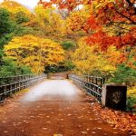 НУЛА СТЕПЕНИ ВО БИТОЛА ИЗМЕРЕНИ ДЕНЕСКА НАУТРО