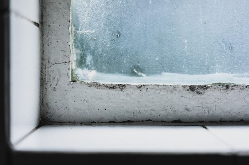 Молер открива како да се ослободите од влагата и мувлата во зима: Доволно е само една чаша од оваа течност што сигурно ја имате дома