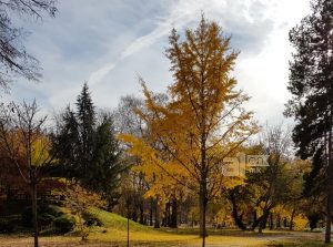 Магливи утра, но сончеви денови во викендот – температурите околу 20 степни