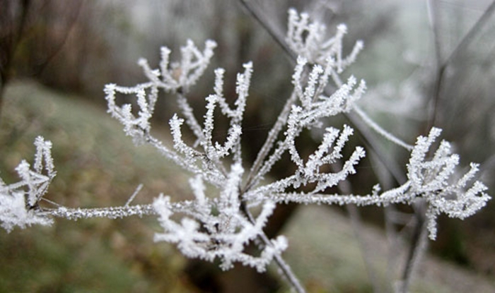 Најстудено во Крушево, најмногу дожд во Охрид