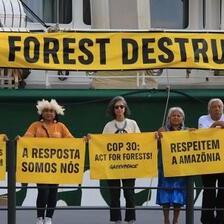 Самит на ветувања, прашума на лаги