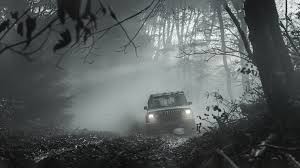 Пронајдени жените кои пријавиja дека со возило се загубиле во реонот на Дрисла