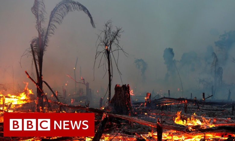 ББЦ ќе учи да биде непристрасна