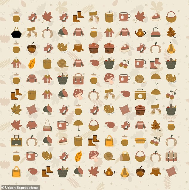 Загатка што ќе ве збуни: Можете ли да ги најдете сите чанти скриени во есенскиот хаос за помалку од 10 секунди?