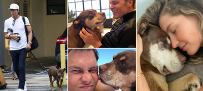 Бизарно! Бившиот сопруг на Жизел Бундшен го клонирал кучето што му почина: „Ѝ земаа крв пред крајот, процедурата не е болна“