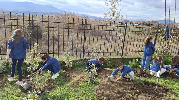 dm раззелени 4 училишни двора за 2 месеци како дел од конкурсот „Зелена иднина: од градинка до училиште“