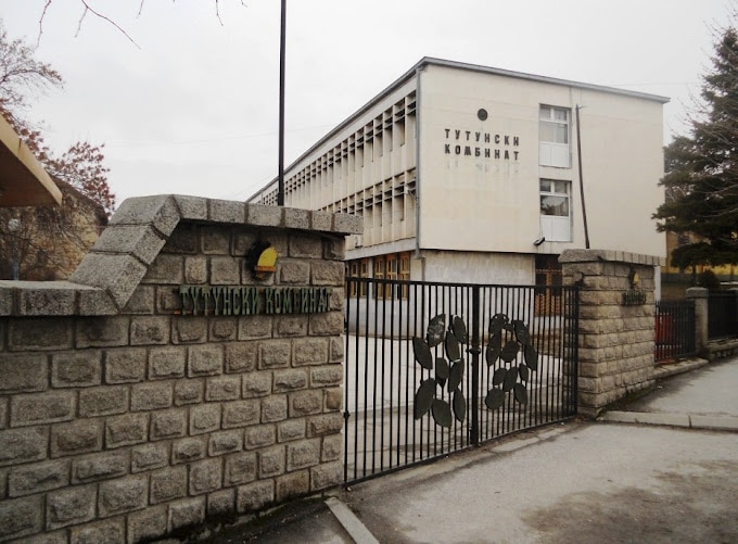 Пресврт за Тутунски комбинат Прилеп – Раст од 300 насто на домашниот пазар