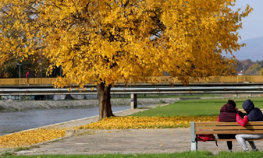 Наутро ведро и студено, преку денот сончево