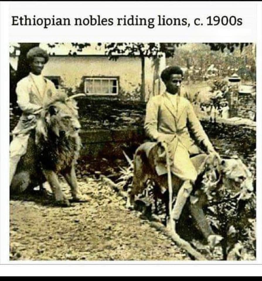 Етиопија – единствената африканска земја што никогаш не била покорена: Како лавови, пчели и храброст ја спасија од колонизатори