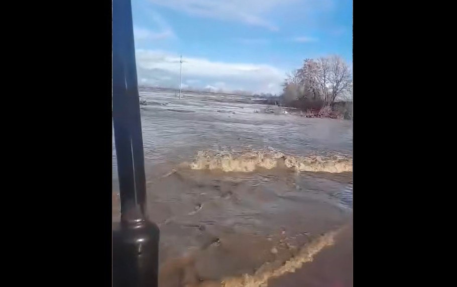„ХРАНА КОЈА БИЛА ВО КОНТАКТ СО ВОДА ОД ПОПЛАВА ДА СЕ ФРЛИ“: АХВ со предупредување до жителите на поплавените региони, еве ги деталите