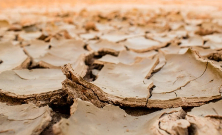 Англија се соочува со најлошата суша во последните децении, се преземаат мерки