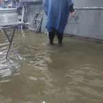 ЦУК: Од обилните дождови поплавени домови, земјоделски површини, патишта