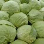 Зелката остана стабилна – нема инфлација во туршијата