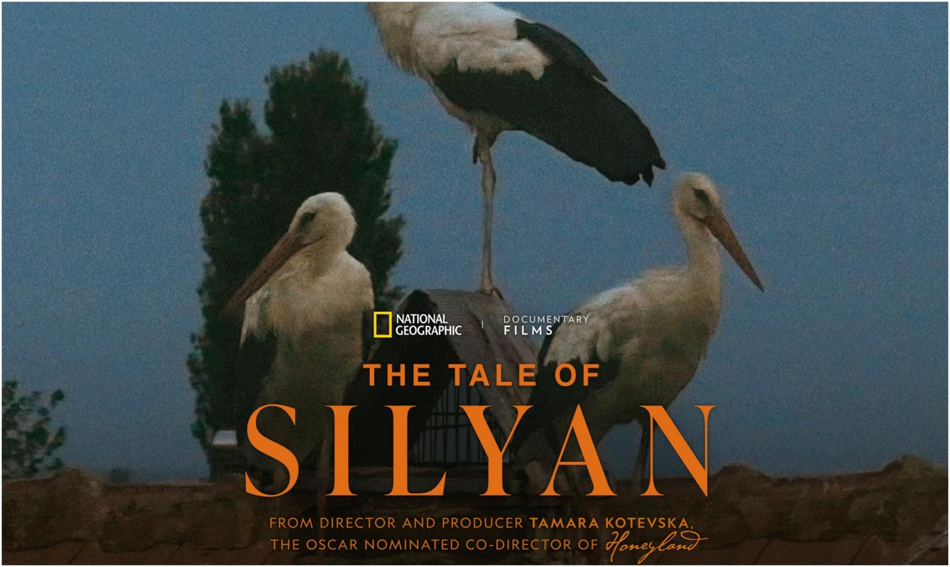 ПРИКАЗНАТА ЗА СИЛЈАН НА ТАМАРА КОТЕВСКА СÈ ПОБЛИСКУ ДО ОСКАР ПО ДВОЈНАТА НОМИНАЦИЈА НА CINEMA EYE HONORS