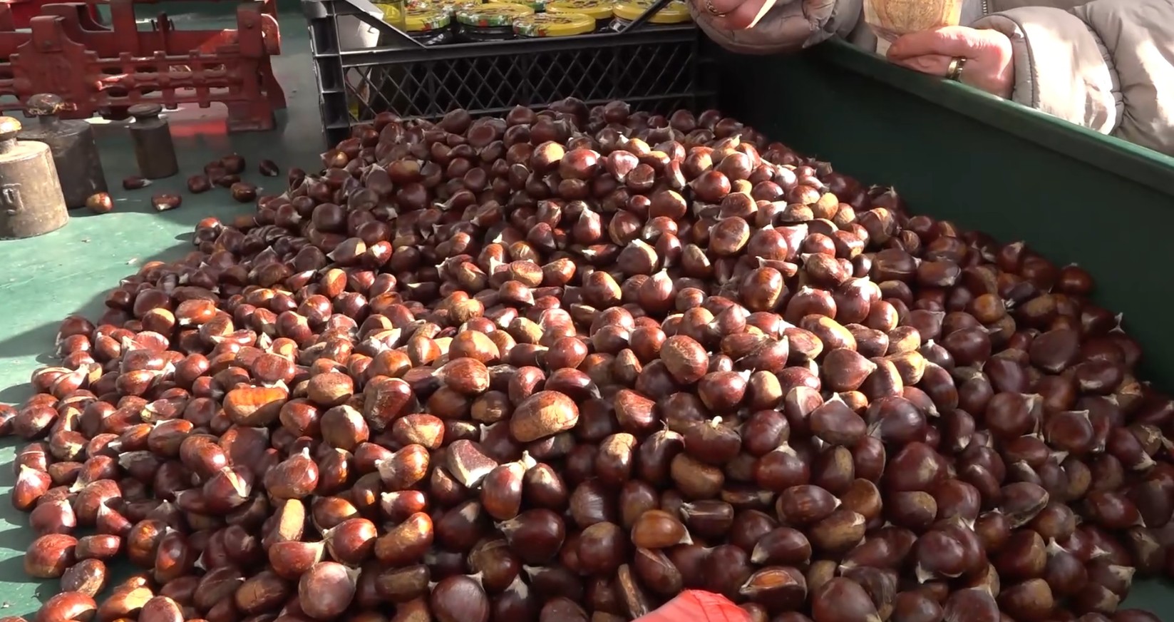 Костенот едно од традиционалните бележја во Македонски Брод