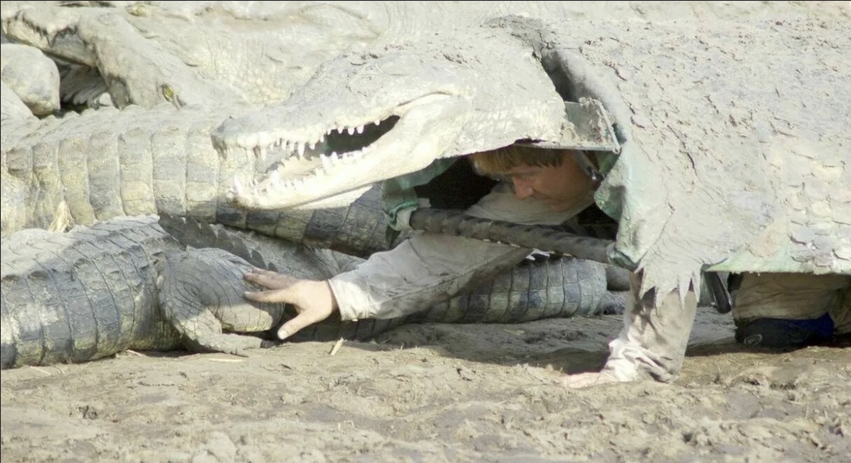 Научник маскиран како крокодил ползи кон ѕверовите и го преживува незамисливото: Најопасниот експеримент во историјата на биологијата