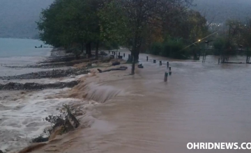 Видео: Се излеа реката Черава, поплавени куќи и дворови во Љубаништа