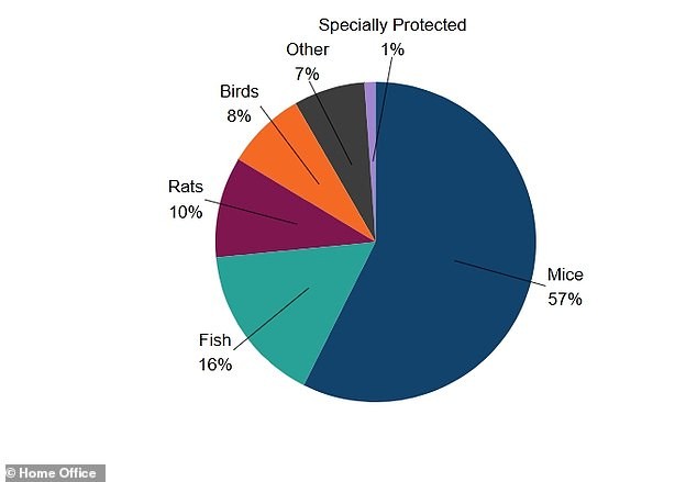 Британија прогласува крај на тестирањето врз животни: Владата најавува ера на органи на чип, вештачка интелигенција и 3Д-печатени ткива за спас на милиони суштества