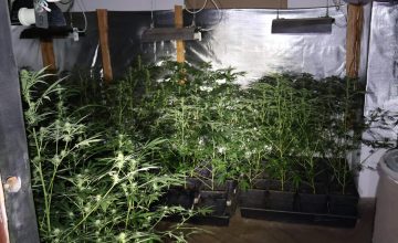 Пронајдени дрога, оружје и муниција кај лице од Подмоље