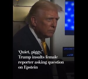 (ВИДЕО) Портпаролката на Белата куќа го брани Трамп кој нарече новинарка „прасица“