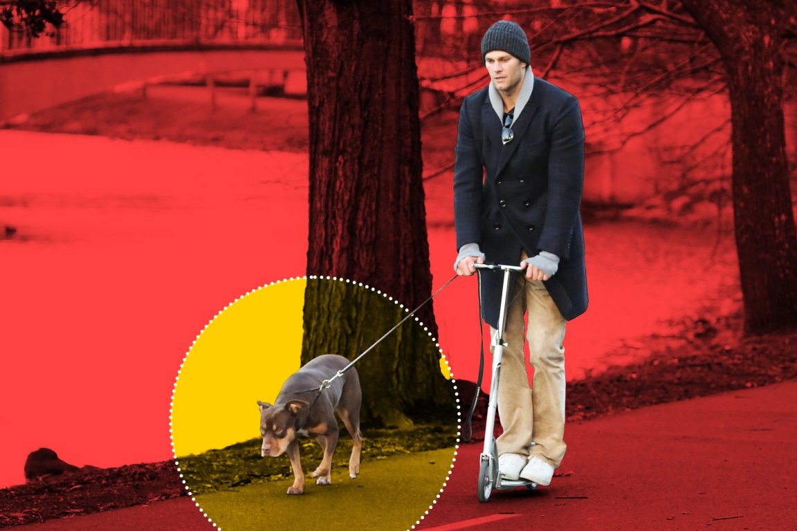 Том Брејди открива дека неговото куче е всушност клон?