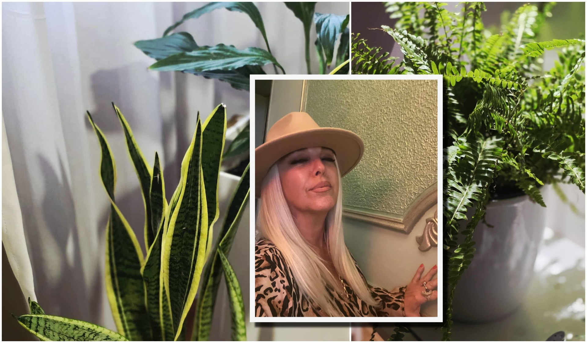 „Кога ќе влезете во еден дом, погледнете ги цвеќињата, тие откриваат дали во семејството владее љубов или токсични односи“: Енерготерапевтка Соња Велј…