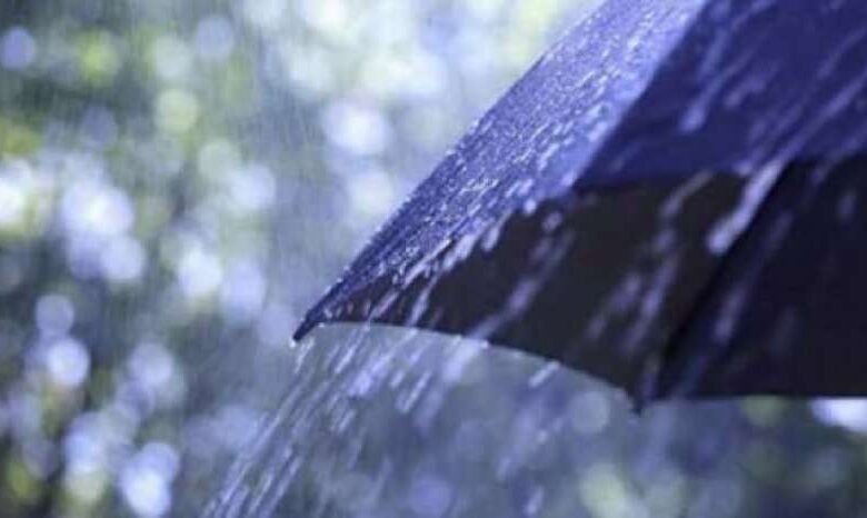 Од вторник дожд и силен ветер