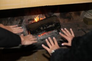 Најисплатливото дрво за греење: Гориво што штеди и ја задржува топлината најдолго