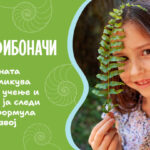 Ден на Фибоначи: Како природната логика го обликува современото учење и зошто IQ UP! ја следи најсилната формула за детски развој