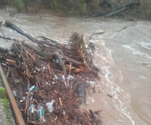 ЦУК: Пчиња се излеа од коритото кај селата Пелинце и Стрновац