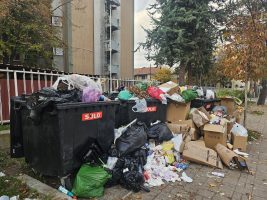 Градот Скопје забрани фрлање отпад во контејнерите од 22 до 6 часот изутрина