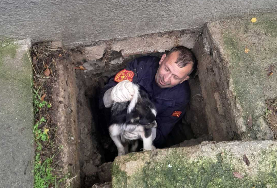 Пожарникари од Старо Нагоричане спасија куче паднато во длабока шахта во училиште