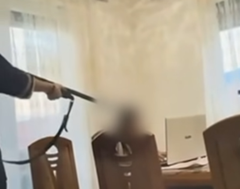 Малолетно девојче снимило видео како вперува пушка во својот помлад брат, полицијата го одзеде оружјето