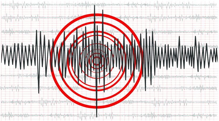 Земјотрес почувствуван во Делчево и Виница