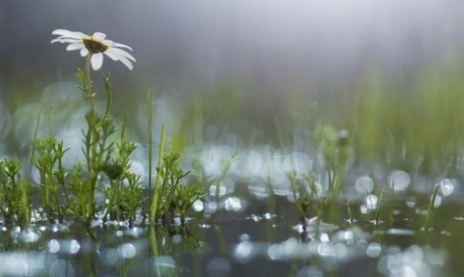 Променливо облачно со поројни врнежи и засилен ветер – највисоки температури до 17 степени