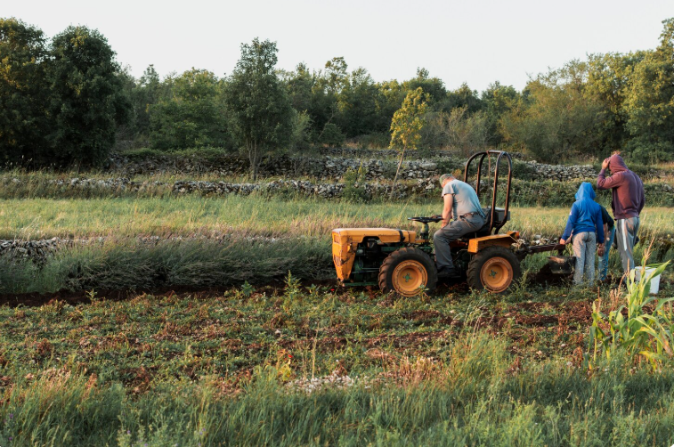 СЕ НАМАЛИЛО ЗЕМЈОДЕЛСКОТО ПРОИЗВОДСТВО ВО ЕУ: Кои земји имаат раст и влечат напред?
