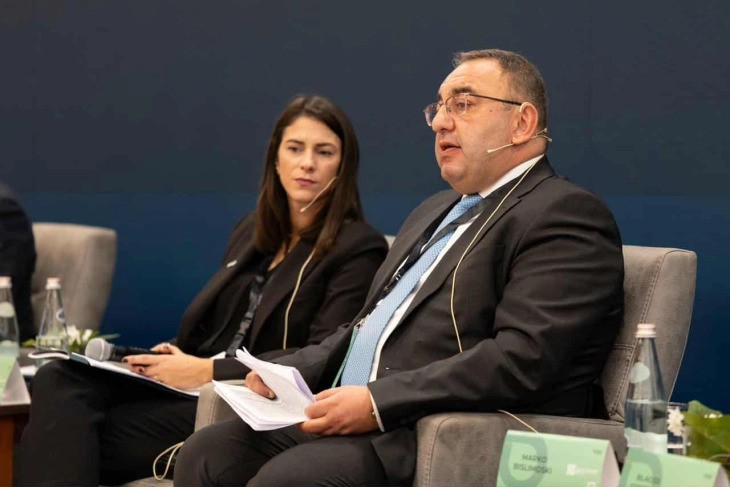 Бислимовски: Обновливи извори се ок, но потребни се инвестиции во базна енергија