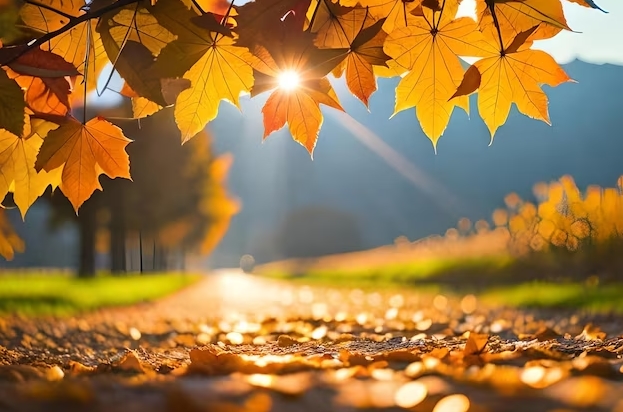 УХМР: Влажен бран носи дождлив викенд, до понеделник наместа и со пообилен дожд, од вторник се очекува стабилизирање на времето